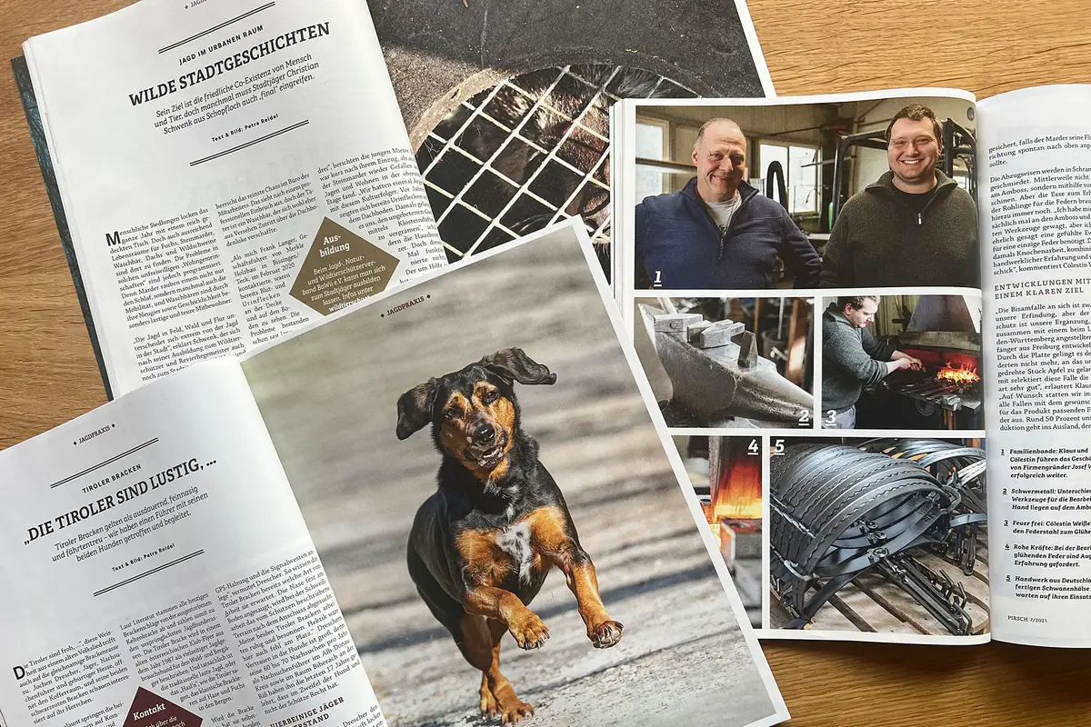 Publikumsmagazine
